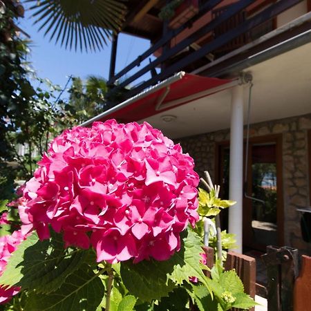 Apartment Paulina كريس المظهر الخارجي الصورة
